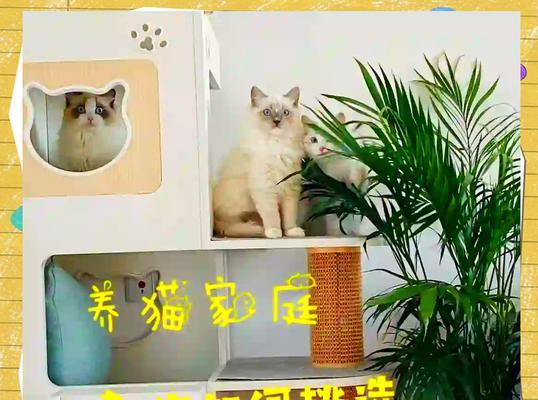 猫咪禁食的植物有哪些？（保护猫咪健康，远离这些有害植物！）