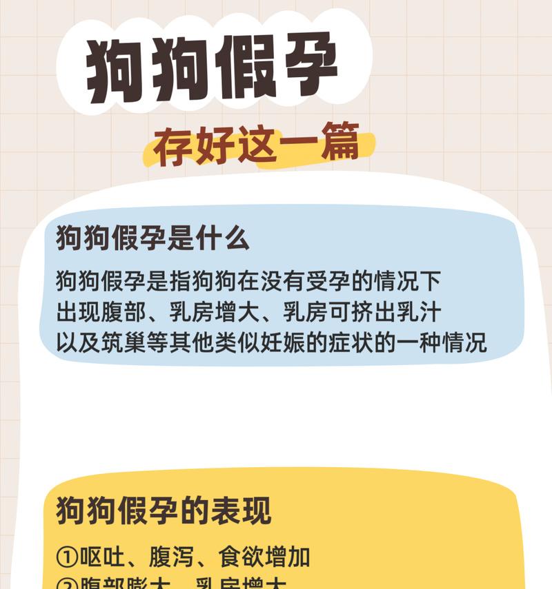 小狗假怀孕的消失时间及原因（探究小狗假怀孕的生理过程和影响因素）