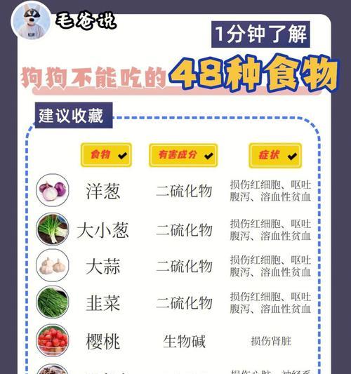 小心！狗狗不能吃的食物有哪些（了解狗狗的饮食禁忌，保护它们的健康）