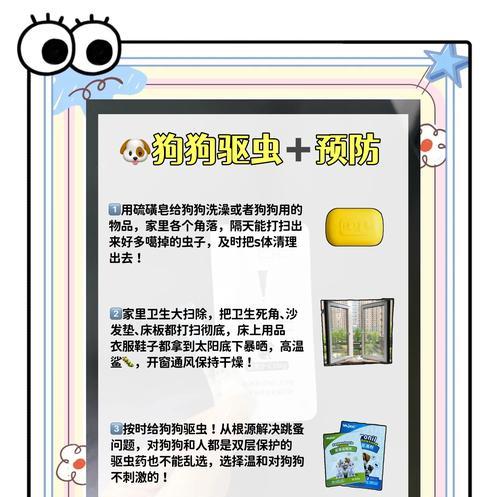 狗狗虫子药的使用频率及注意事项（狗狗虫子药的最佳使用频率是多久？）