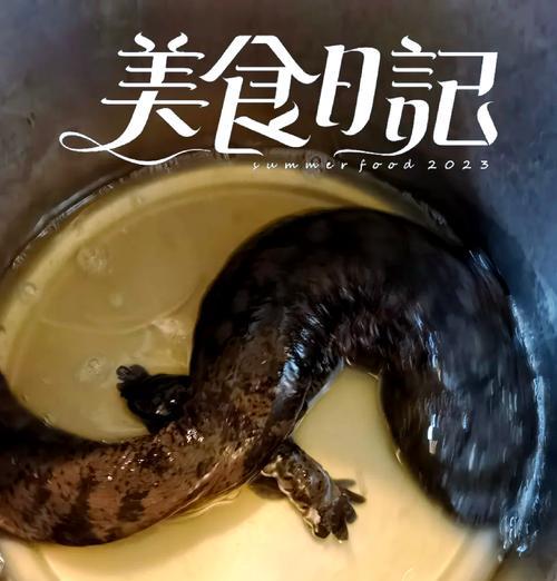 娃娃鱼买卖是否违法？（探讨娃娃鱼的保护等级及相关法律法规）