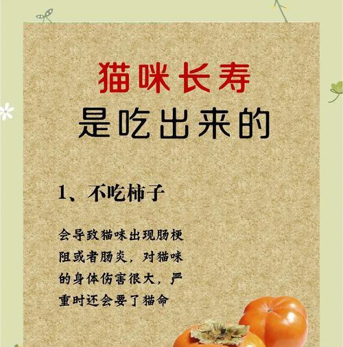 健康营养的猫咪饮食，6种食物让你的猫咪“感谢”你（探索猫咪的理想饮食，让猫咪健康快乐）