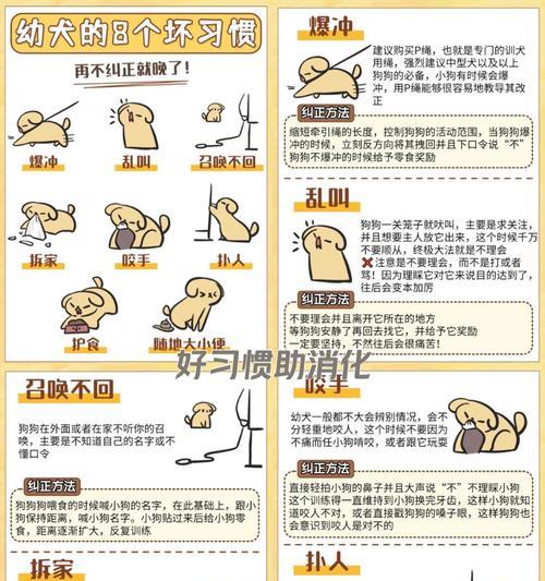 幼犬喂食指南（为你的幼犬提供优质的营养补给）