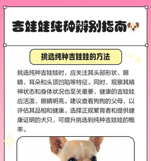 吉娃娃一袋狗粮能吃多久？（狗粮食量计算和建议）
