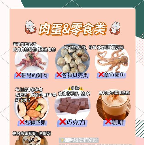 新手铲屎官必看！猫咪各个年龄阶段的食物清单（从幼猫到老猫，给你的爱宠提供适合的饮食，）