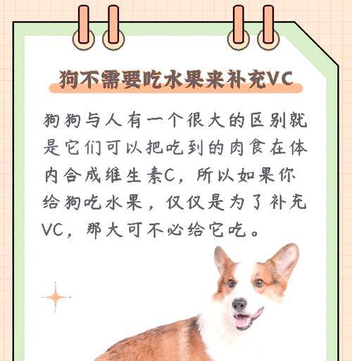 狗狗的饮食须知——水果篇（了解狗狗可以吃和不能吃的水果，守护它们的健康）