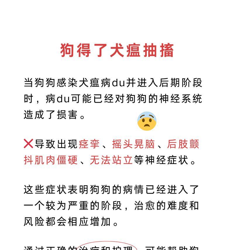 狗狗得了犬瘟病毒，怎么办？（犬瘟病毒防治及护理方法）