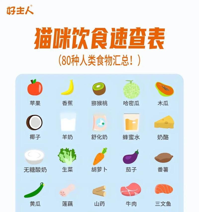 如何为幼猫准备食物？（幼猫的饮食需求及如何正确喂养幼猫）