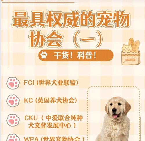 以cku变更犬主人的时间和程序（了解cku变更犬主人所需的时间和步骤）