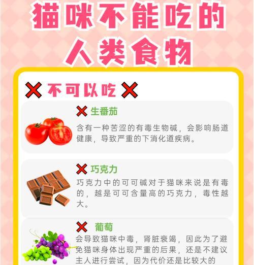 小心！这些食物绝对不能让猫吃！（了解哪些食物对猫是有害的，保护它们的健康）