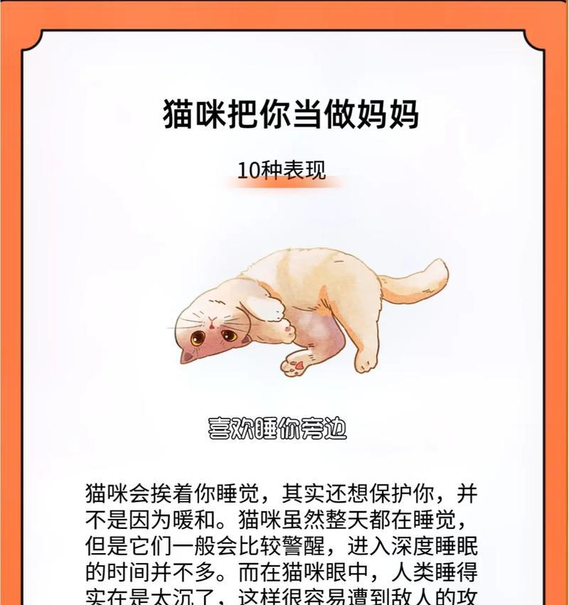 猫咪为何跟随你却不让你抱？（揭秘猫咪行为背后的心理原因）