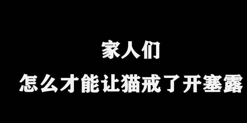 猫咪如何正确使用开塞露？（科学安全的给猫咪使用开塞露方法与注意事项）