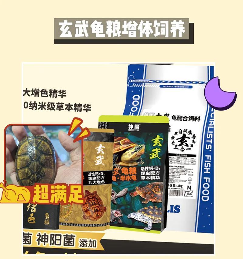 揭开龟类饮食的神秘面纱（了解龟类的进食习性及最佳饲养时间）