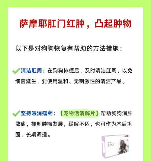 以萨摩耶驱虫的频率及注意事项（宠物犬保健的重要环节与有效方法）