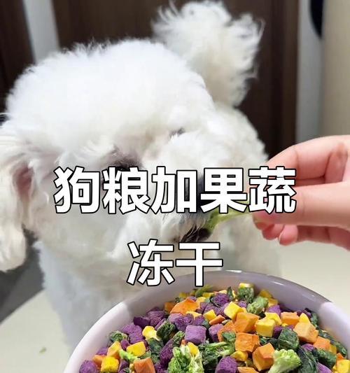 狗狗的健康膳食（为你的宠物提供均衡的饮食，关爱它们的健康）