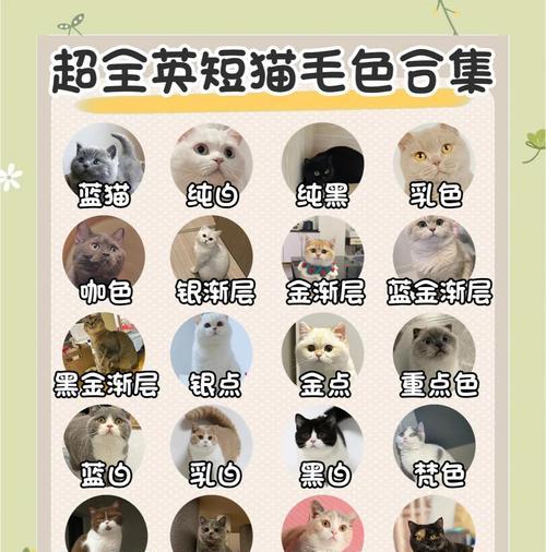 剃毛频率（保持整洁与健康）