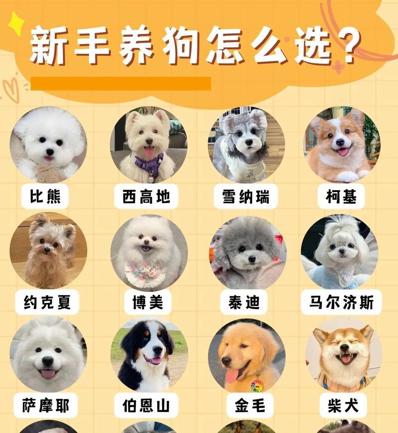 喂养宠物狗可能引发的疾病（宠物狗饮食引发的健康问题及预防措施）