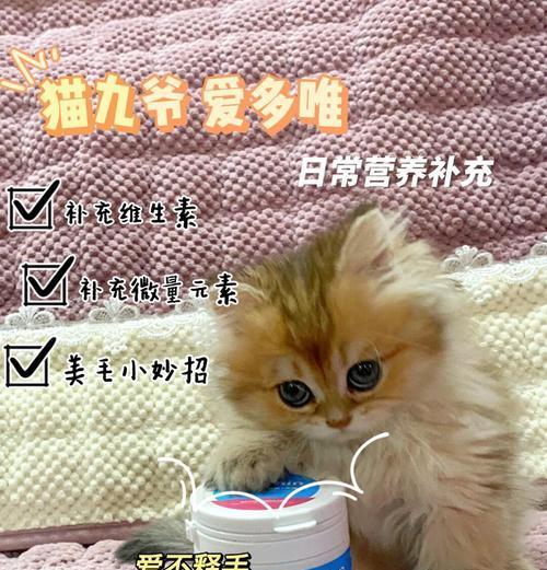 一只营养膏能吃多久？（揭秘营养膏的持久之道）