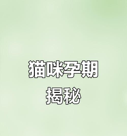 猫的怀孕周期及注意事项（探究猫咪怀孕时间和照顾技巧）
