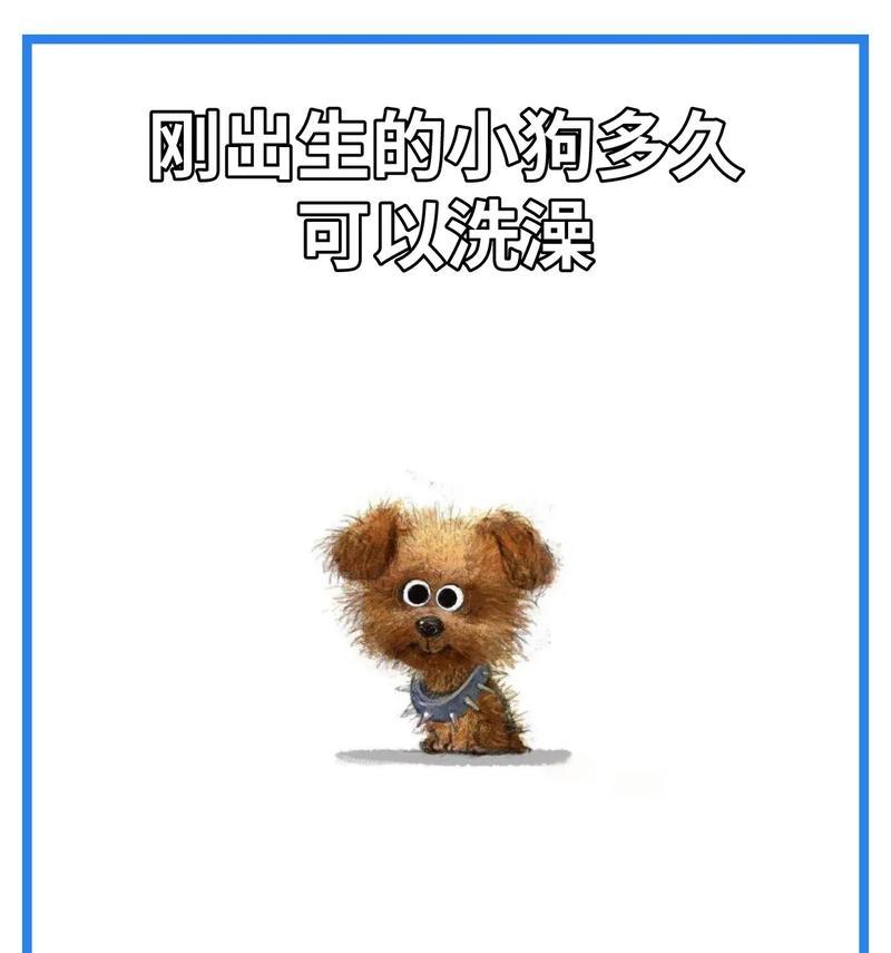 母狗怀孕多久能洗澡？（关于母狗孕期洗澡的注意事项）