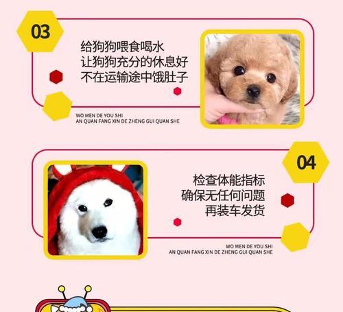 串串狗与土狗的区别（探索串串狗和土狗的品种特点及养殖习性）