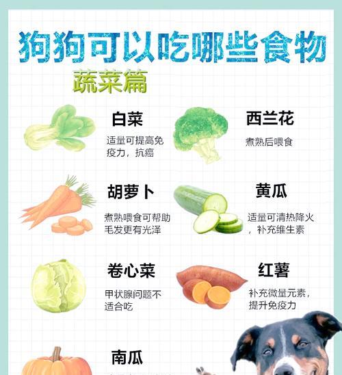 边牧的蔬菜饮食指南（了解边牧适宜食用的蔬菜种类及益处）