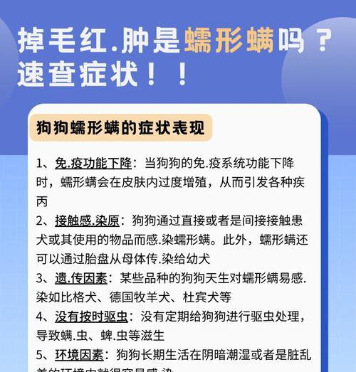 如何解决狗狗身上满是螨虫的问题？（5种有效方法帮助您减轻和解决狗狗身上螨虫问题）