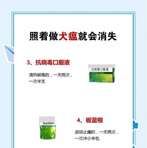 选择合适的犬舍消毒剂，切断疾病传播之路（找到适用于犬舍的消毒剂，保障犬只健康）