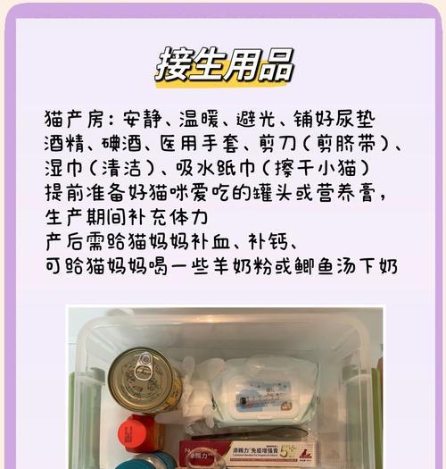 猫咪怀孕多久了？（如何判断猫咪怀孕的时间？）