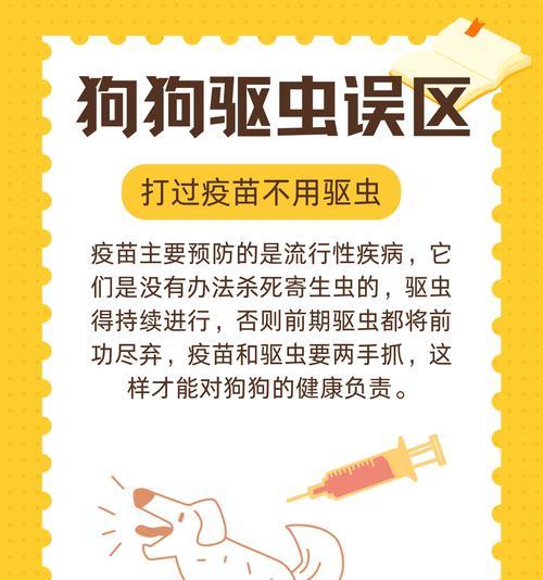 幼犬驱虫的时间和方法（科学驱虫，保护幼犬健康）