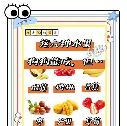 狗狗不能吃的水果有哪些？（了解狗狗饮食禁忌，保护它们的健康）