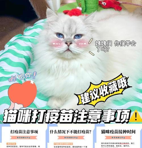 猫疫苗接种时间间隔的重要性（了解猫疫苗接种时间间隔的关键因素及注意事项）