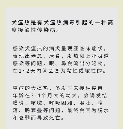 犬瘟的康复期及预防措施（了解犬瘟康复时间，保护您的爱犬免受感染）