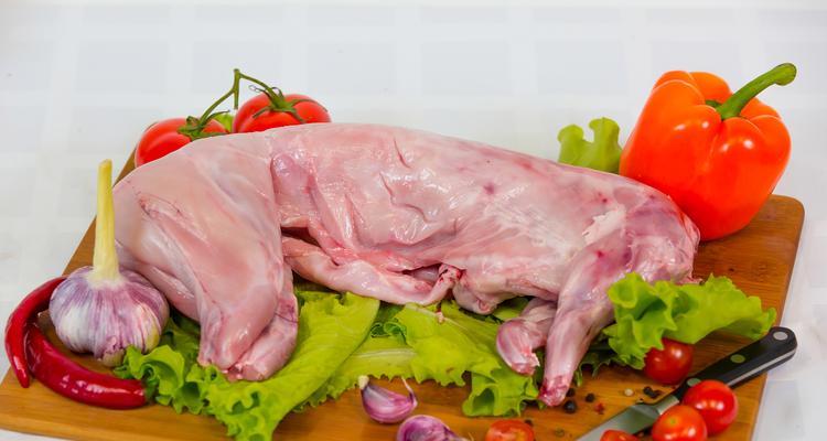 兔子的日常饮食需求（兔子每天必吃的食物有哪些？兔子饮食的）