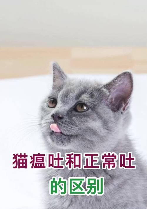 猫咪拉吐问题的治疗方法与药物选择（了解病因，寻找合适的治疗方案）