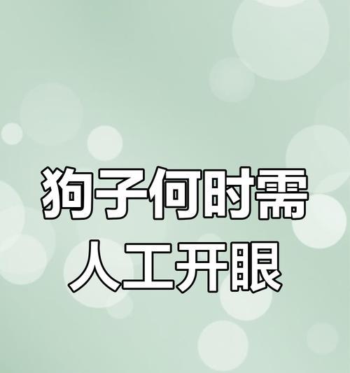小狗几天能睁眼？（探究小狗眼睛发育的奇妙过程）