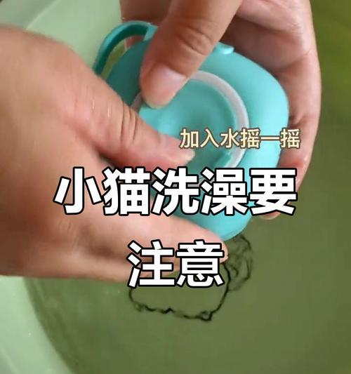 猫咪洗澡的注意事项与禁忌（了解正确的猫咪洗澡方法，宠主不可忽视的几点）