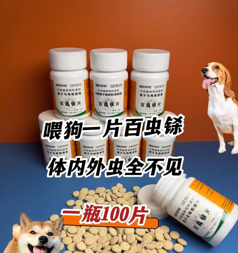 狗狗体内外驱虫后多久打疫苗的重要性（确保狗狗健康，正确掌握疫苗接种时间）