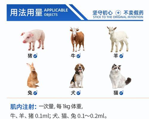 狗狗腹泻的原因与治疗方法（揭秘狗狗腹泻的成因及药物治疗方法）