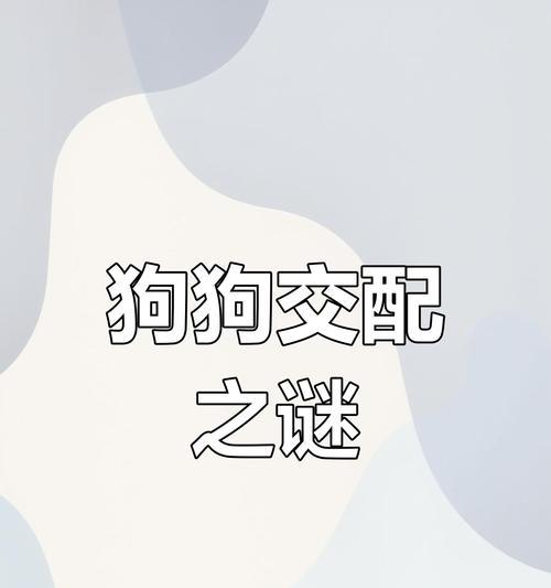 小狗配种后的注意事项（如何确保小狗配种的成功和健康？）