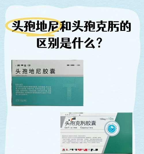 抗生素（探索抗生素如何对宠物产生重大影响）