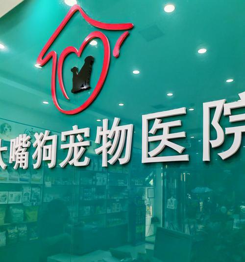 宠物狗手术所需用品一览（了解宠物狗手术所需的必备物品及其作用）