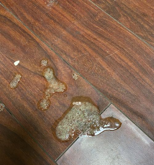 狗狗为何吃了没多久就吐了？（探究狗狗吃后不久呕吐的原因及应对方法）
