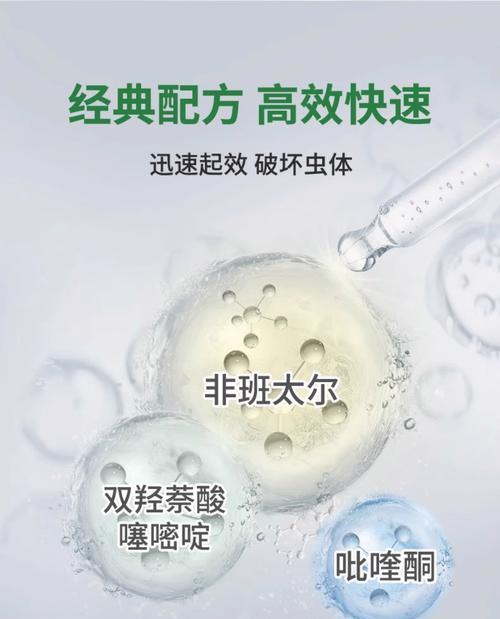 泰迪驱虫攻略（以泰迪多久做驱虫？泰迪的驱虫频率和方法详解）