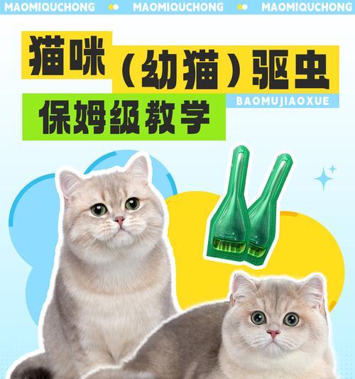猫生孩子后多久能驱虫？（宝宝猫的驱虫时间和方法详解）