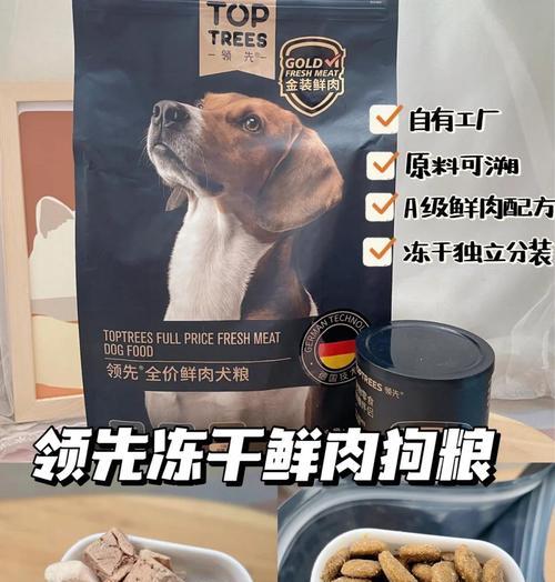 新手养狗必备物品（全面准备狗狗入住的必需品，让你成为合格的狗狗父母！）