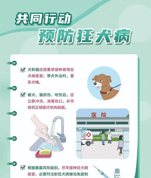 狗狗疫苗（了解疫苗接种的最佳时机，保护你的宠物免受疾病侵害）