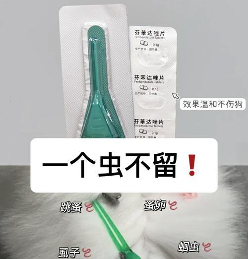 狗狗跳蚤过多如何处理（驱虫周期与方法选择）