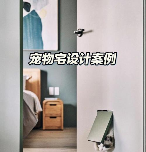 揭秘宠物门洞背后的隐患与挑战（探索宠物门洞的问题与解决方案）