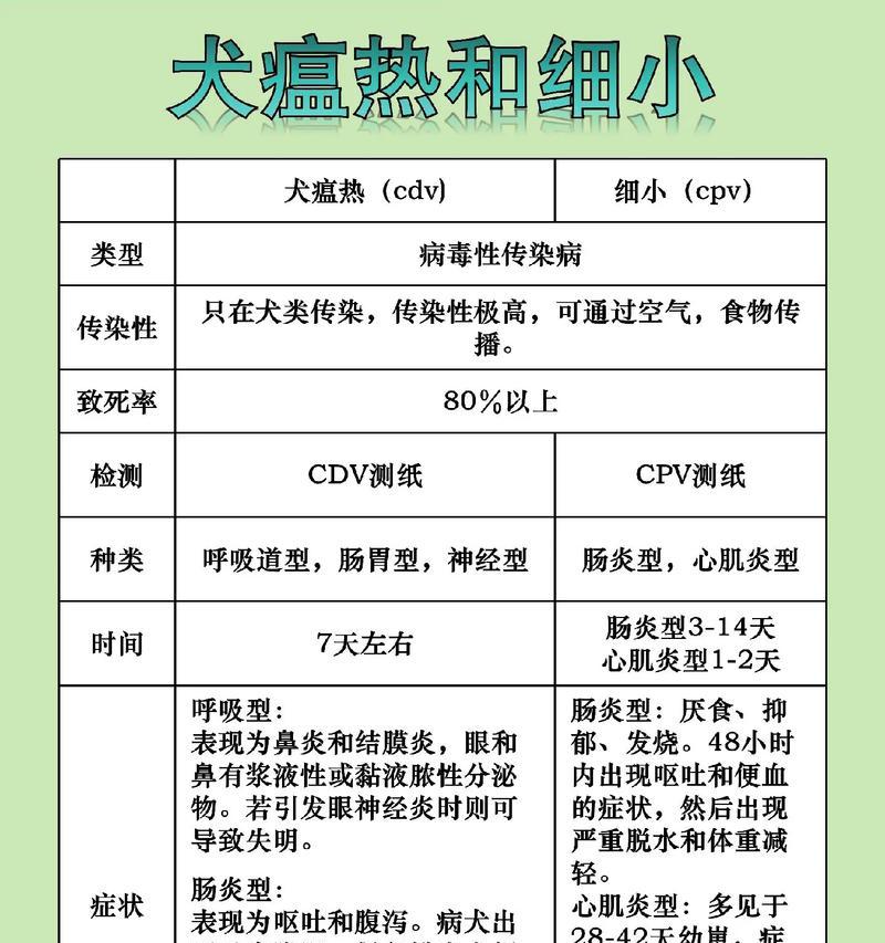 犬瘟病毒的存活时间及预防措施（了解犬瘟病毒的存活条件和预防方法，保护爱犬健康）